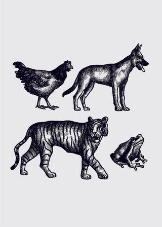 手绘动物简笔插画