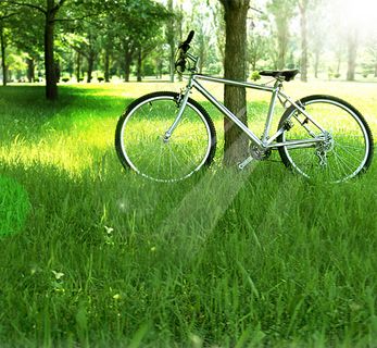 草地上的自行车