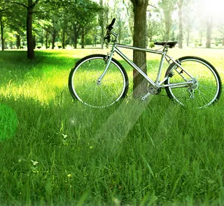 草地上的自行车