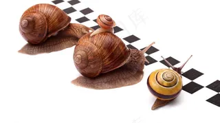 蜗牛赛跑高清图片