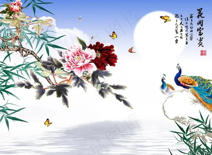 花开富贵 花开富贵