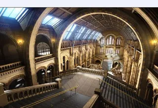 自然博物馆模型