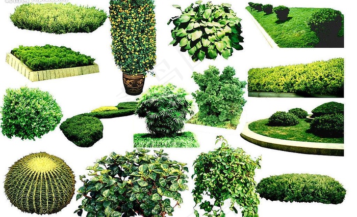 psd分层素材_绿化2图片