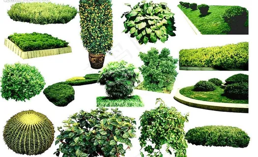 psd分层素材_绿化2图片 psd分层素材_绿化2图片