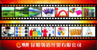 领盾网页banner