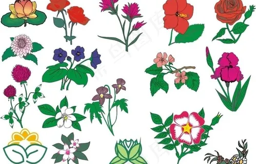 矢量花朵集图片 矢量花朵集图片