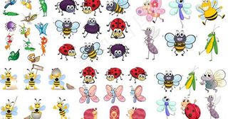 昆虫插图矢量素材图片