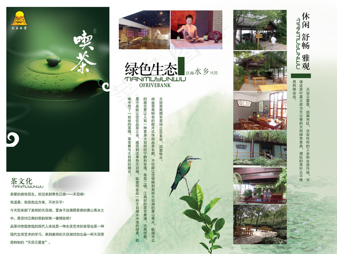 绿色生态茶文化画册PSD分层(3799X2864(DPI:250))psd模版下载
