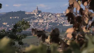 意大利省藤本21股票的录像 视频免...