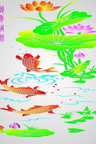 荷花鱼图片