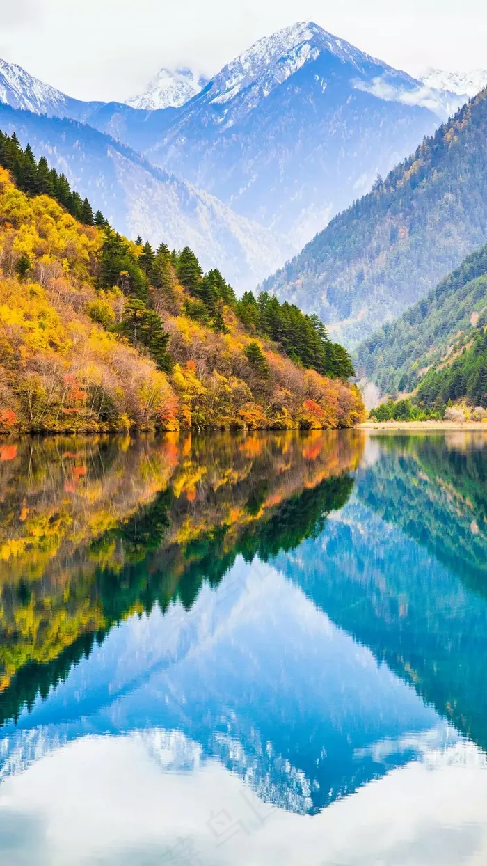 丛林深处的湖泊高清摄影图片