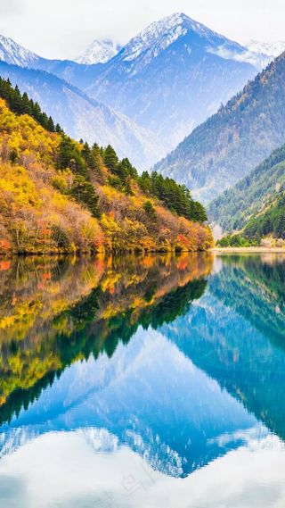 丛林深处的湖泊高清摄影图片