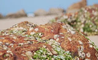 深圳西涌海景图片