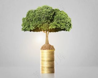 金币嫩芽小树苗孵化培育理财商务金融财富主题素材