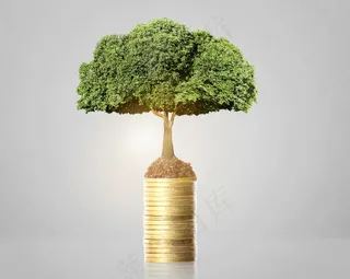 金币嫩芽小树苗孵化培育理财商务金融财富主题素材