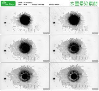 中国风水墨晕染动画素材2