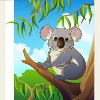 可爱小动物绿色树袋熊图片