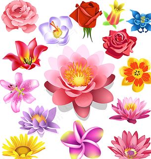 矢量浪漫花朵背景素材图片