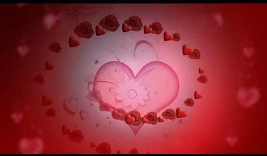 婚礼视频素材图片