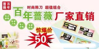 百年蔷薇厂家直销