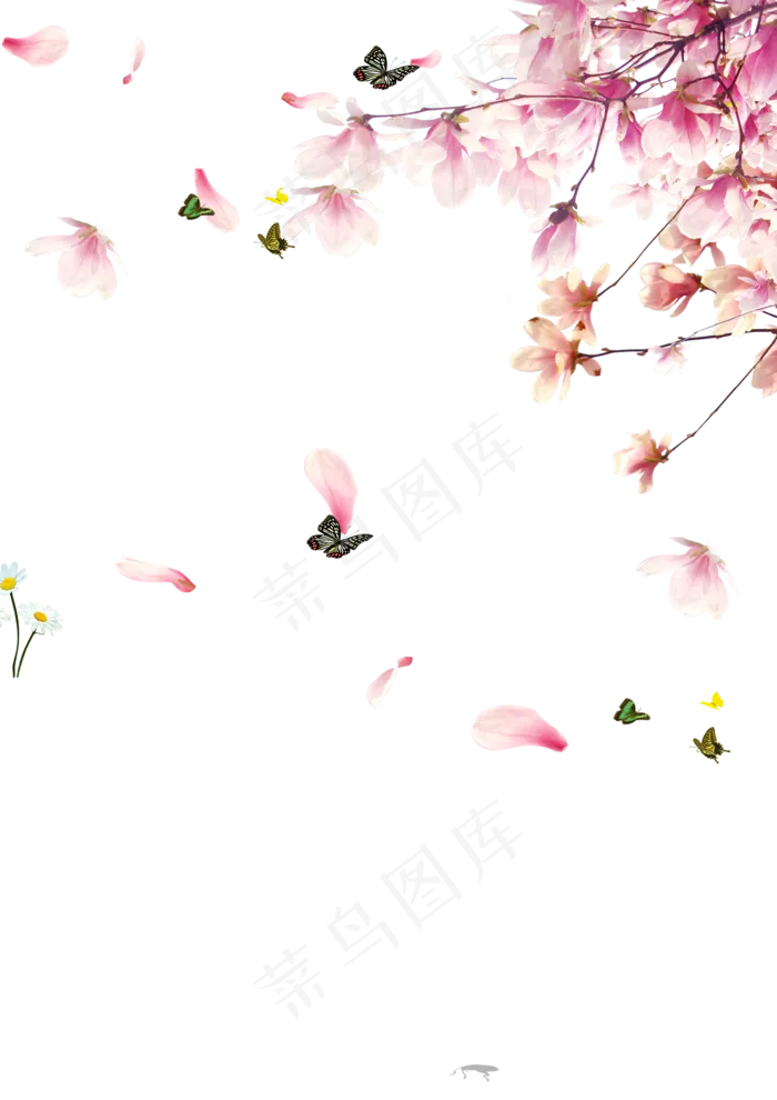 免扣桃花花瓣(300 dpi)