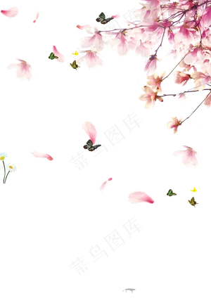 免扣桃花花瓣