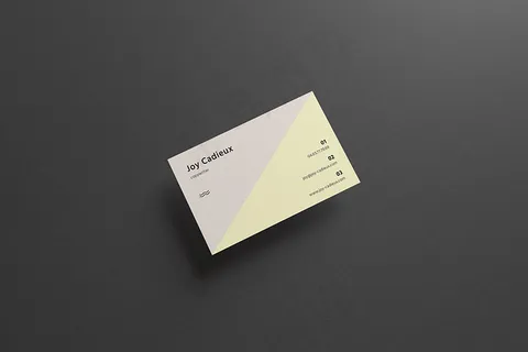 简约名片样机 简约名片样机