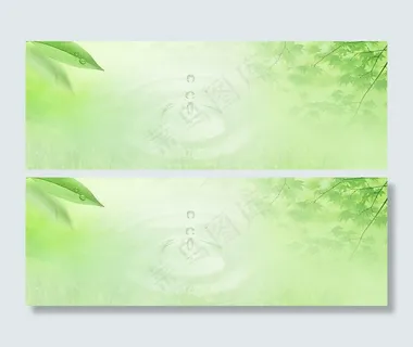 绿色背景图片