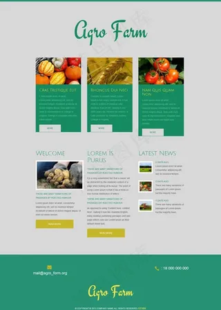 html5模板下载图片
