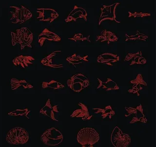 矢量海鲜鱼类图片