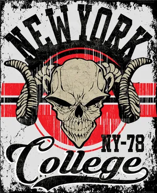 炫酷骷髅印花图案设计矢量素材