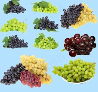 葡萄分层素材图片