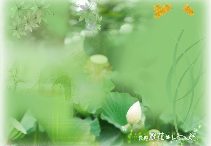 精品psd分层素材图片