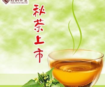 秋茶上市图片psd模版下载
