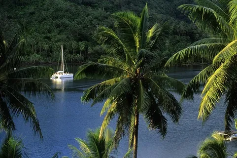 雨林素材下载图片 雨林素材下载图片