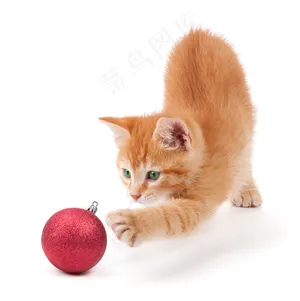 可爱小猫与圣诞球图片