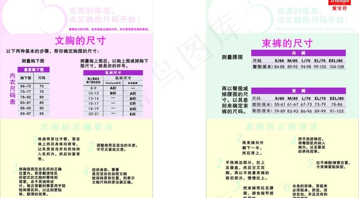 文胸知识图图片cdr矢量模版下载