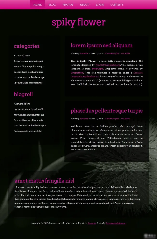 黑色网页模板设计psd模版下载