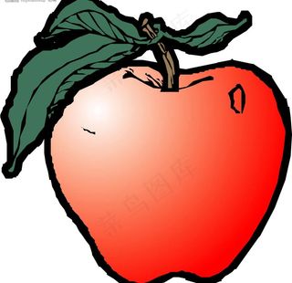 矢量苹果图片