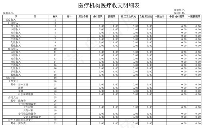 医疗机构医疗收支明细表