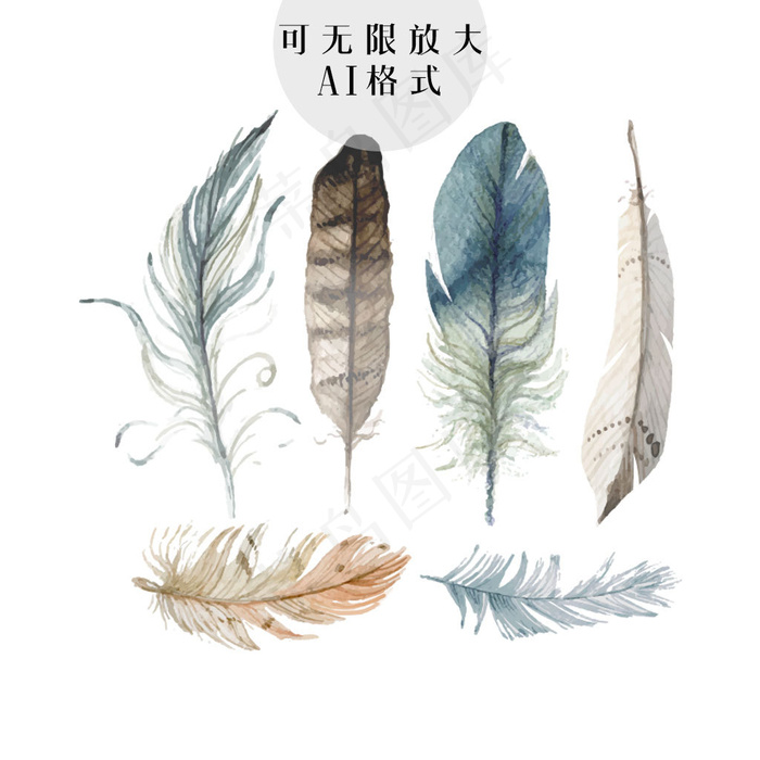 羽毛