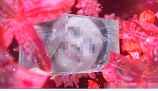 水晶花童话婚礼AE模板