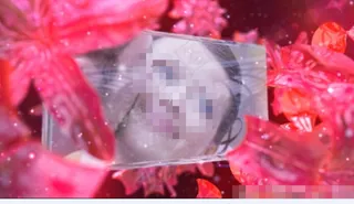 水晶花童话婚礼AE模板