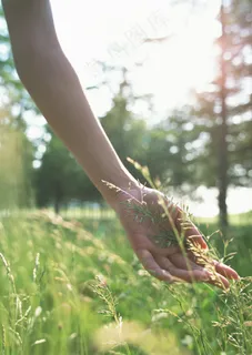 正在摘草的女性图片