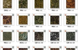 室内装饰设计3D贴图之花麻