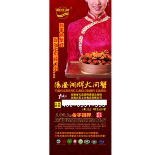 大闸蟹X展架