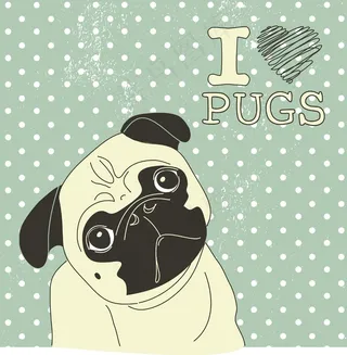 我爱的哈巴狗！在圆点背景可爱的小狮...