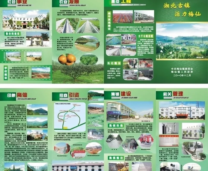 活力梅仙图片cdr矢量模版下载