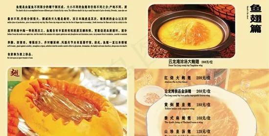 云龙湾商务会馆菜谱鱼翅菜单psd分...(6354X4252(DPI:300))psd模版下载
