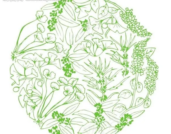 中药花纹图片cdr矢量模版下载